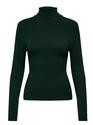 Only 15165075/Scarab Karol LS rollneck pull NOOS