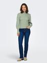 Only 15232494/Basil Katia LS highneck pull NOOS