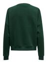 Only 15254183/Pine Grove Sweat life LS crew o.size NOOS