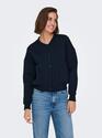 Only 15336901/Navy Blazer Naomi LS bomber sweat