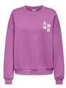 Only 15337658/Liatris Marey LS o-neck print sweat