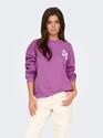 Only 15337658/Liatris Marey LS o-neck print sweat