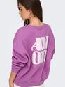 Only 15337658/Liatris Marey LS o-neck print sweat