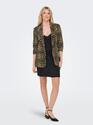 Only 15355551/Nomad with Leo Elly 3/4 life blazer
